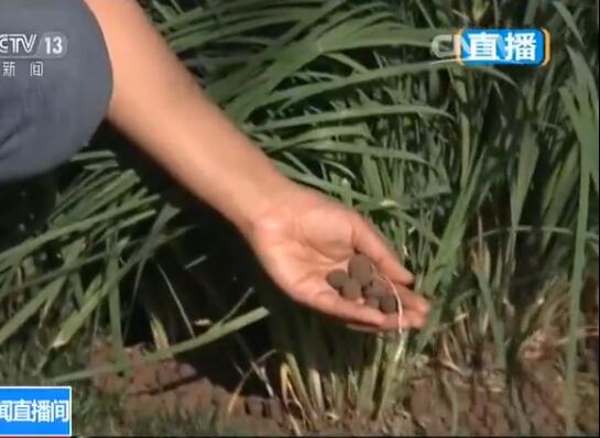 天津水處理 天津水處理